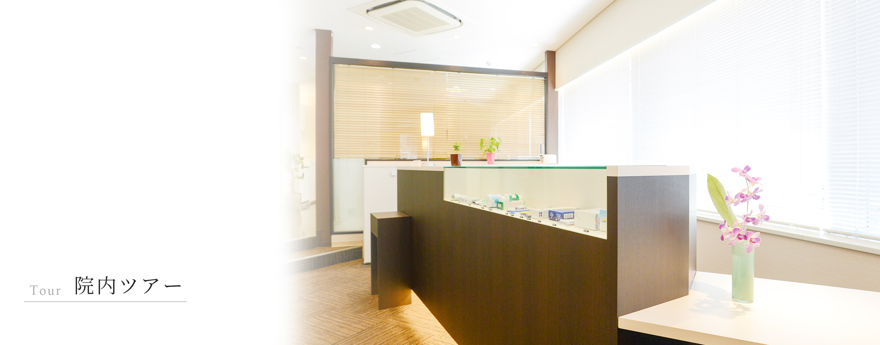 キービジュアル